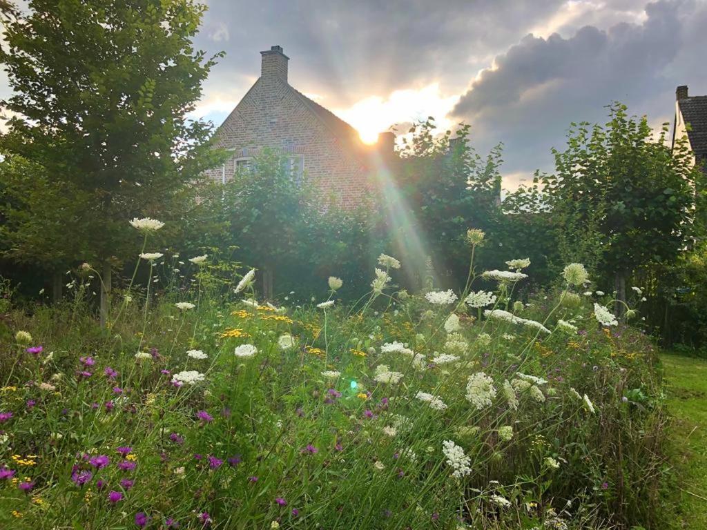 B&B Helena'S Hoeve Buggenum Esterno foto